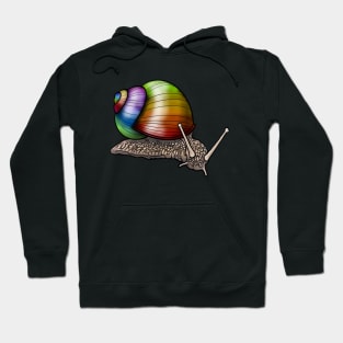 Shell of a Different Color Hoodie